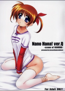 (C80) [Kossorikakuredokoro (Island)] Nano Hana! ver.Q -scene of NANOHA- (Magical Girl Lyrical Nanoha) - page 1
