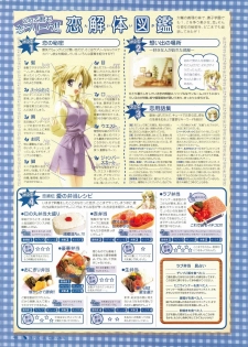 Canvas Visual Fan Book - page 36