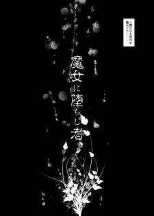 (COMIC1☆5) [STUDIO HP+] Majo ni Ochishi Mono (Puella Magi Madoka Magica) [Digital] - page 3