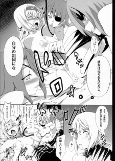 (C80) [Sheepfold (Tachibana Yuu)] Clarissa-san no Doujinshi (IS <Infinite Stratos>) - page 17