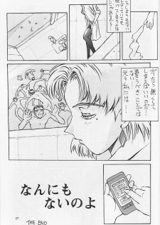 (C53) [Oiwaidou (Iwasaki Tatsuya)] Akagi Ritsuko Hen - Ritsuko Akagi Edition (Neon Genesis Evangelion) - page 28