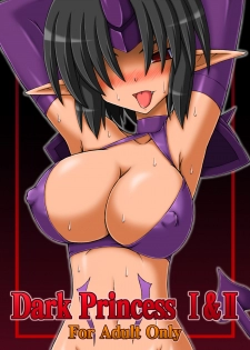 [Crooked Navel (Sanada Kuro)] Dark Princess Sousyuuhen [Digital] - page 1