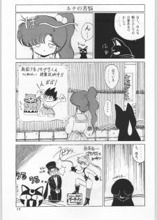 [Ryokan Hanamura (Various)] Honkan Hanamura (Bishoujo Senshi Sailor Moon) - page 28