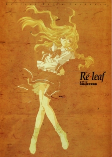 [CARNELIAN] Re-leaf Kouryaku & Settei Shiryoushuu - page 2
