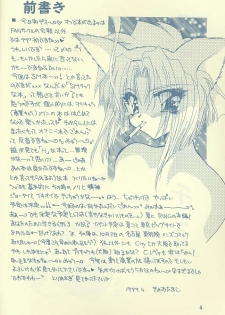 [Rakuen Tengoku (Kimio Tamako)] Ai no Katachi? - page 3