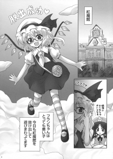 (C80) [54BURGER (Marugoshi)] Iinari Flan-chan (Touhou Project) - page 4