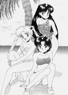 (C42) [Monkey Reppuutai F (Various)] SAILOR MOON MATE 02 (Sailor Moon) - page 13