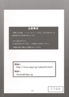 (C80) [Nakayohi (Izurumi)] Ryushutu Asuka (Neon Genesis Evangelion) - page 28