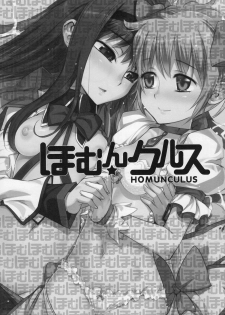 (C80) [Aneko no Techo (Koume Keito)] HOMUN★CULUS (Puella Magi Madoka☆Magica) - page 2