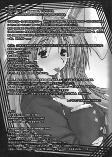 (COMIC1☆5) [Ankoku-Bousougumi (Ainu Mania)] MoshiUdo! (Touhou Project) - page 25