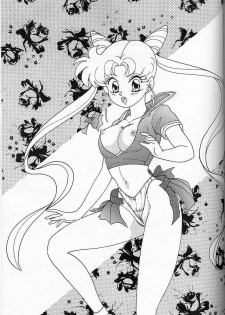 [Chandora, LUNCH BOX (Makunouchi Isami)] Lunch Box 6 - Usagi (Bishoujo Senshi Sailor Moon) - page 50