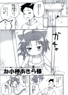 (C78) [Aichiko (ubizo)] Nekogami Akira-sama to Issho. (Lucky Star) - page 6