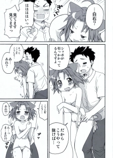 (C78) [Aichiko (ubizo)] Nekogami Akira-sama to Issho. (Lucky Star) - page 10