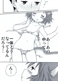 (C78) [Aichiko (ubizo)] Nekogami Akira-sama to Issho. (Lucky Star) - page 13