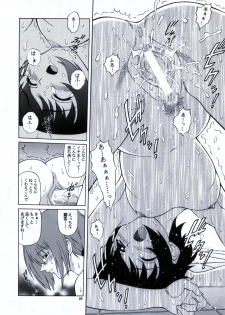 (Futaket) [GUST (Harukaze Soyogu)] Zokuzoku! Kuronekotachi no Kyouen (Noir) - page 21