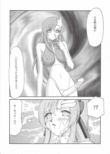 (C69) [LTM. (Taira Hajime)] Tane desu Zoku (Gundam Seed Destiny) - page 12