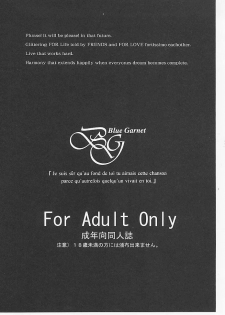 (C80) [BLUE GARNET (Serizawa Katsumi)] Mugen Houyou | Fantasy Embrace (Suite Precure♪) [English] =Shizuku + Super Shanko= - page 2