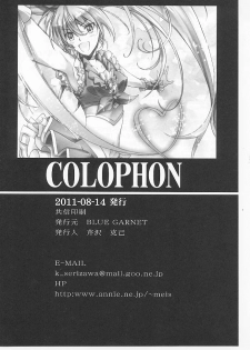 (C80) [BLUE GARNET (Serizawa Katsumi)] Mugen Houyou | Fantasy Embrace (Suite Precure♪) [English] =Shizuku + Super Shanko= - page 31