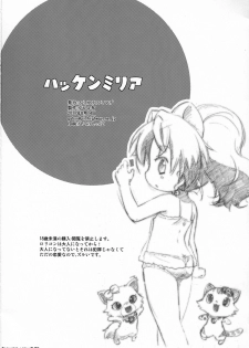 (C80) [Sumi Kara Sumi Made (Gabyonuno)] Hakken Miria (Jewelpet Tinkle) [English] [TLRF] - page 29