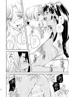 (C78) [AHM (Lact Mangan, Inu-Blade)] Ginko Moukou Kinshi Houkou (Sangokushi Taisen) - page 14