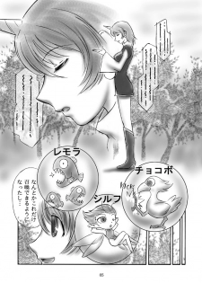 (C72) [Dark RoseEX-S (Hirooki)] JOB☆STAR 8 (Final Fantasy V) - page 4