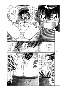 [Global One (Maro)] sadistic LaserDisc Kuro Bara-kan (Ranma 1/2) - page 15