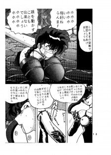 [Global One (Maro)] sadistic LaserDisc Kuro Bara-kan (Ranma 1/2) - page 14