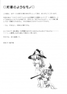 (C71) [Mirabilien Fabrik (Yuzu Momo)] Shameless Girls (Touhou Project) [English] [SaHa] - page 3
