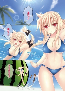 (C80) [chronicle (YUKITO)] FATE COLLECTION II (Mahou Shoujo Lyrical Nanoha) - page 4