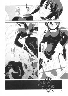 (C79) [Blazing Star (Terry Hijiri)] Little Braver F (Ragnarok Online) - page 19