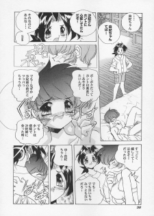 [Hariken Hanna] Sanshimai H Monogatari 2 - page 36