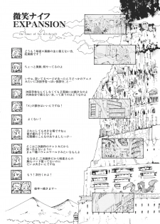(C80) [PARANOIA CAT] Touhou Ukiyoemaki Bishou Knife Expansion (Touhou Project) - page 27