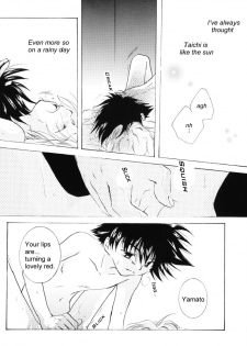 (SUPERKansai8) [SECTION E (Hirose Yukiya)] SUNSHINE and MOONLIGHT (Digimon Adventure 02) - page 4