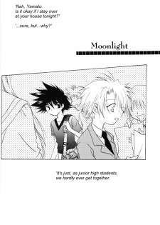 (SUPERKansai8) [SECTION E (Hirose Yukiya)] SUNSHINE and MOONLIGHT (Digimon Adventure 02) - page 31