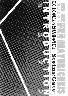 (C80) [Yan-Yam] Nikuyoku Gadget Kenkyuujo (Steins;Gate) - page 11