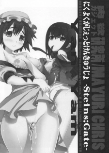 (C80) [Yan-Yam] Nikuyoku Gadget Kenkyuujo (Steins;Gate) - page 13