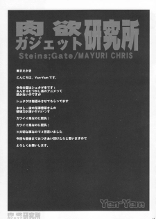 (C80) [Yan-Yam] Nikuyoku Gadget Kenkyuujo (Steins;Gate) - page 12