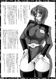 [GLAMOUR WORKS (Shadi Biin)] Lunamari Nikki (Gundam Seed Destiny) - page 5