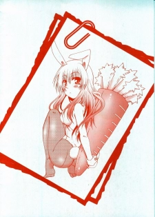 [Kurosaki Kotora] Koneko Aiiku Diary - page 4
