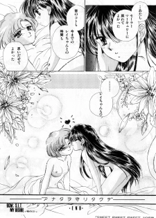 [Anthology] Lunatic Party 3 (Sailor Moon) - page 28
