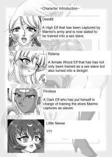 [SLW (Q1)] Aidorei  Elf Senki | Record of Slave Elf War (Record of Lodoss War) [English] [DarkSpooky] [Digital] - page 2
