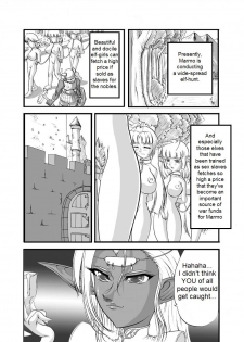 [SLW (Q1)] Aidorei  Elf Senki | Record of Slave Elf War (Record of Lodoss War) [English] [DarkSpooky] [Digital] - page 3