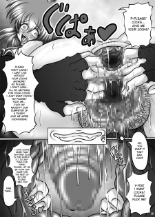 [Pint Size (TKS)] Niku-bin hime Shiida ~ inran Chi Wang On'na no emuburemu ~ | Cum dump princess Shiida, emblem of the lascivious princess (Fire Emblem) [English] [desudesu] - page 18