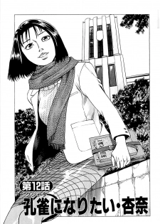 [Kamihashi Tani, Hino Shunpei] Fuuzoku Tenchou Monogatari Vol.02 - page 27