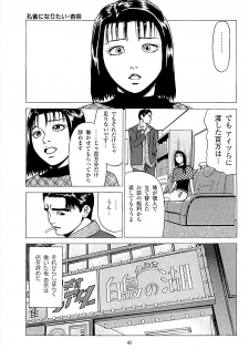 [Kamihashi Tani, Hino Shunpei] Fuuzoku Tenchou Monogatari Vol.02 - page 47