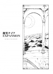 (C80) [Paranoia Cat(Fujiwara Shun'ichi)] Ukyoe-kan Smiling Knife EXPANSION (Touhou Project) [English] - page 3