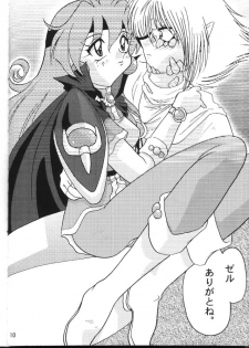 (C54) [Ginmomodou (Mita Satomi)] Slayers Adult 6 (Slayers) - page 10