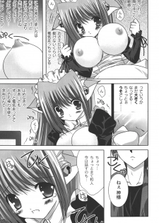 [Shikigami Azuma] Nichoume no Nekogamisama - page 30