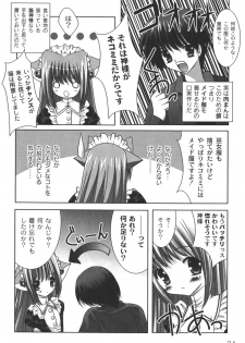 [Shikigami Azuma] Nichoume no Nekogamisama - page 27
