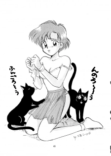 (C42) [Ringodou (Manda Ringo)] Usagi-chan Namahonban Ippatsu Shoubu (Bishoujo Senshi Sailor Moon) - page 42